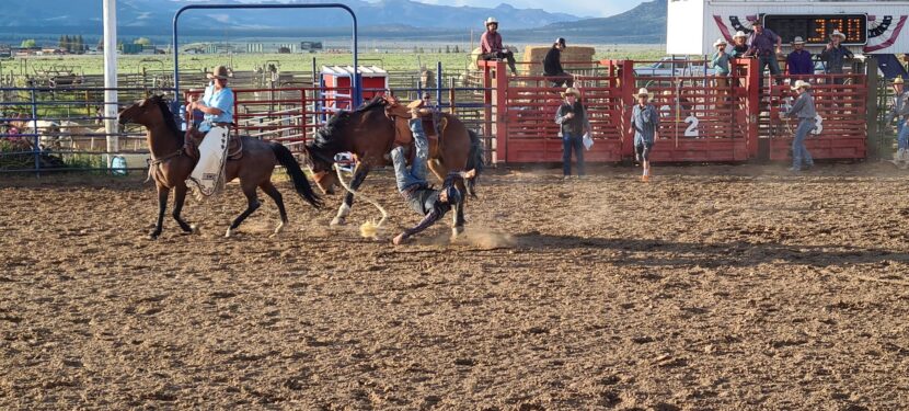 Tag 16 – Freitag, 09.06.2023: Fahrt zum Bryce Canyon und ein Rodeo Tag 16 – Freitag, 09.06.2023: Fahrt zum Bryce Canyon und ein Rodeo