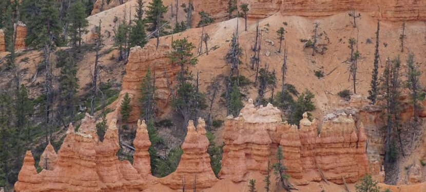 Tag 17 – Samstag, 10.06.2023: Ein Tag am Bryce Canyon und Countrymusik