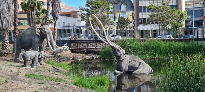 Tag 25 – Sonntag, 18.06.2023: Nur keinen Stress