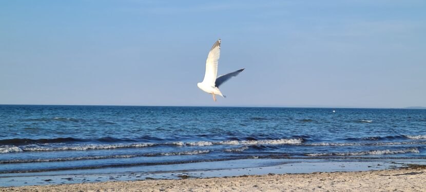 Tag 6 – Samstag 01.06.2024: Schiff und Meer