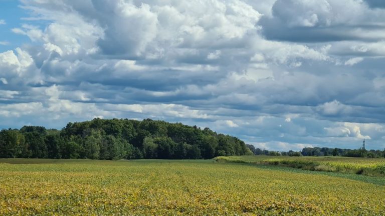 Tag 8 – Montag 08.09.2025: Auf der „Chemin du Roy“ – oder auch nicht. Montréal – Québec