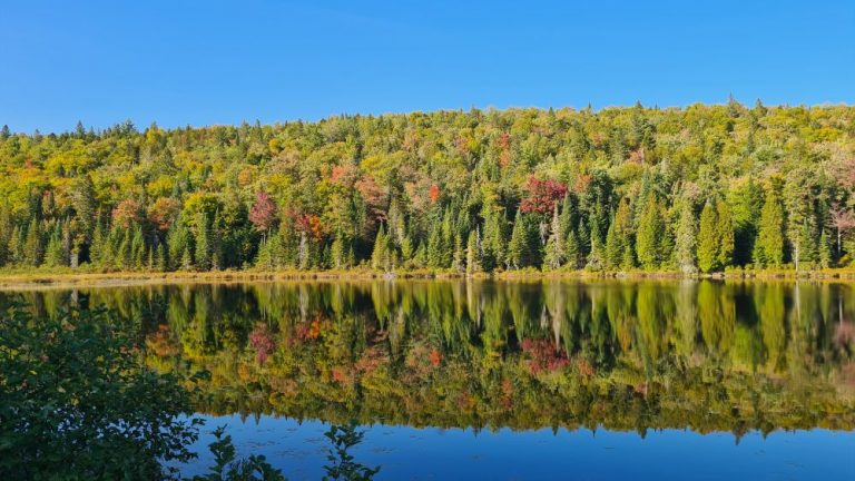 Tag 16 – Dienstag 16.09.2025: Im Land der Seen. La Mauricie National Park