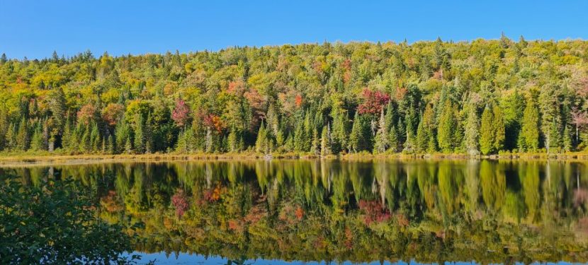 Tag 16 – Dienstag 16.09.2025: Im Land der Seen. La Mauricie National Park