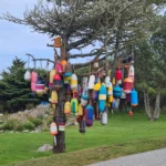 Nova Scotia 2026 - Tag 13