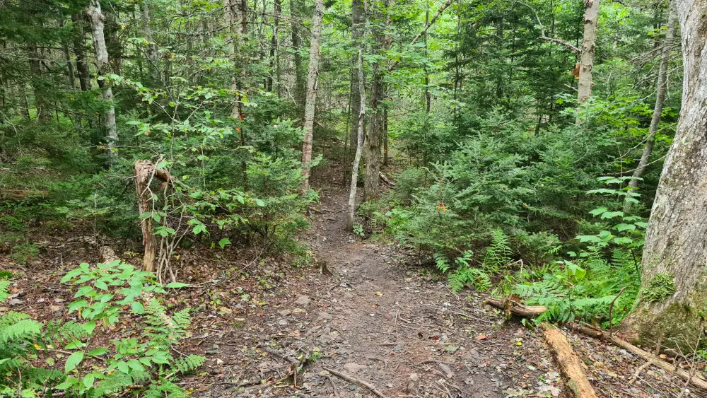 Nova Scotia 2026 – Tag 18