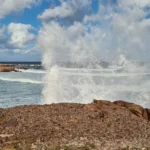 Nova Scotia 2026 – Tag 19
